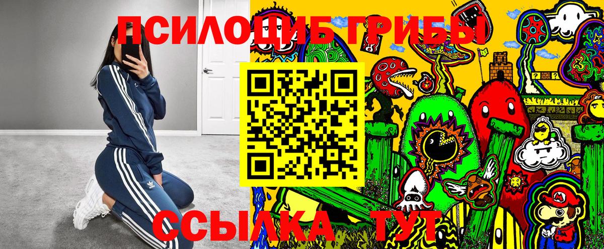 Галлюциногенные грибы Cubensis Богородицк